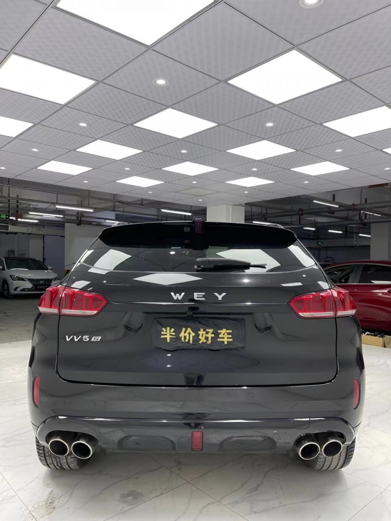 成都17年WEYVV75