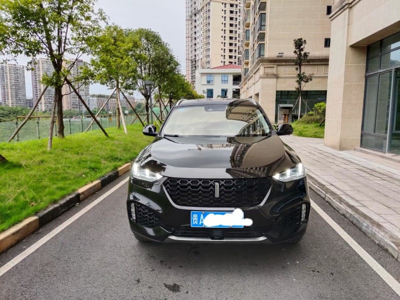 宜賓19年長城VV62