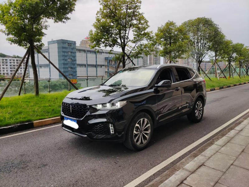 宜賓19年長城VV62