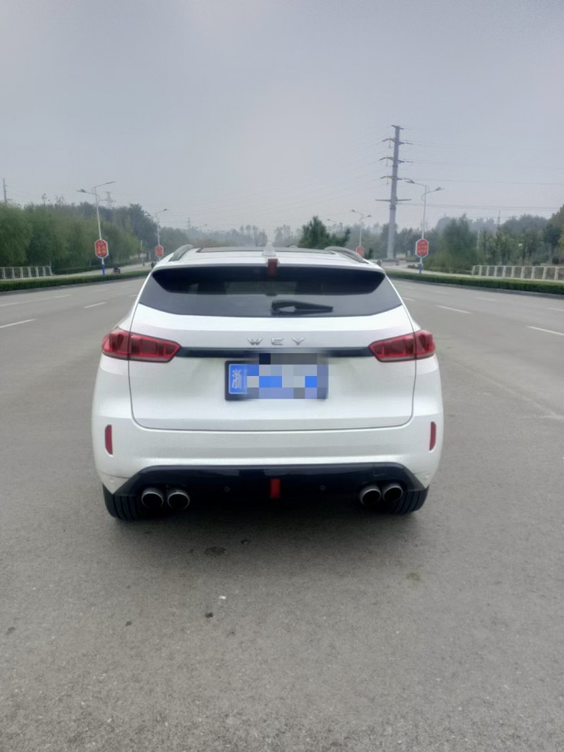 聊城17年長城VV79