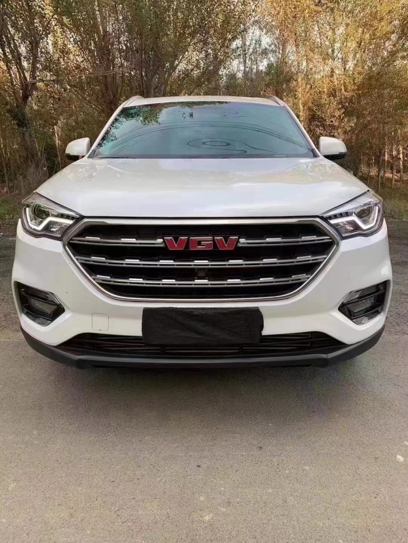 滄州20年濰柴汽車U701