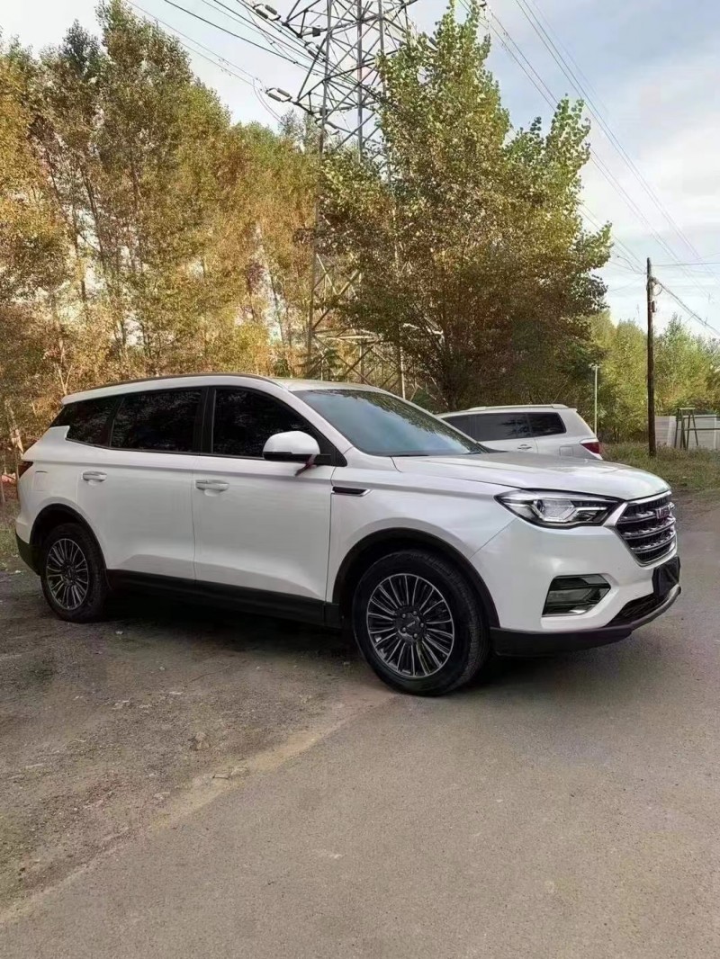 滄州20年濰柴汽車U702