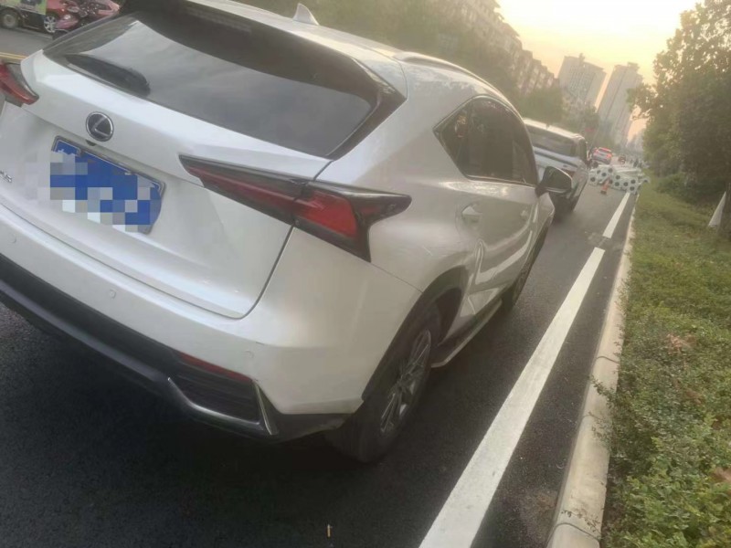 南陽18年雷克薩斯NX6