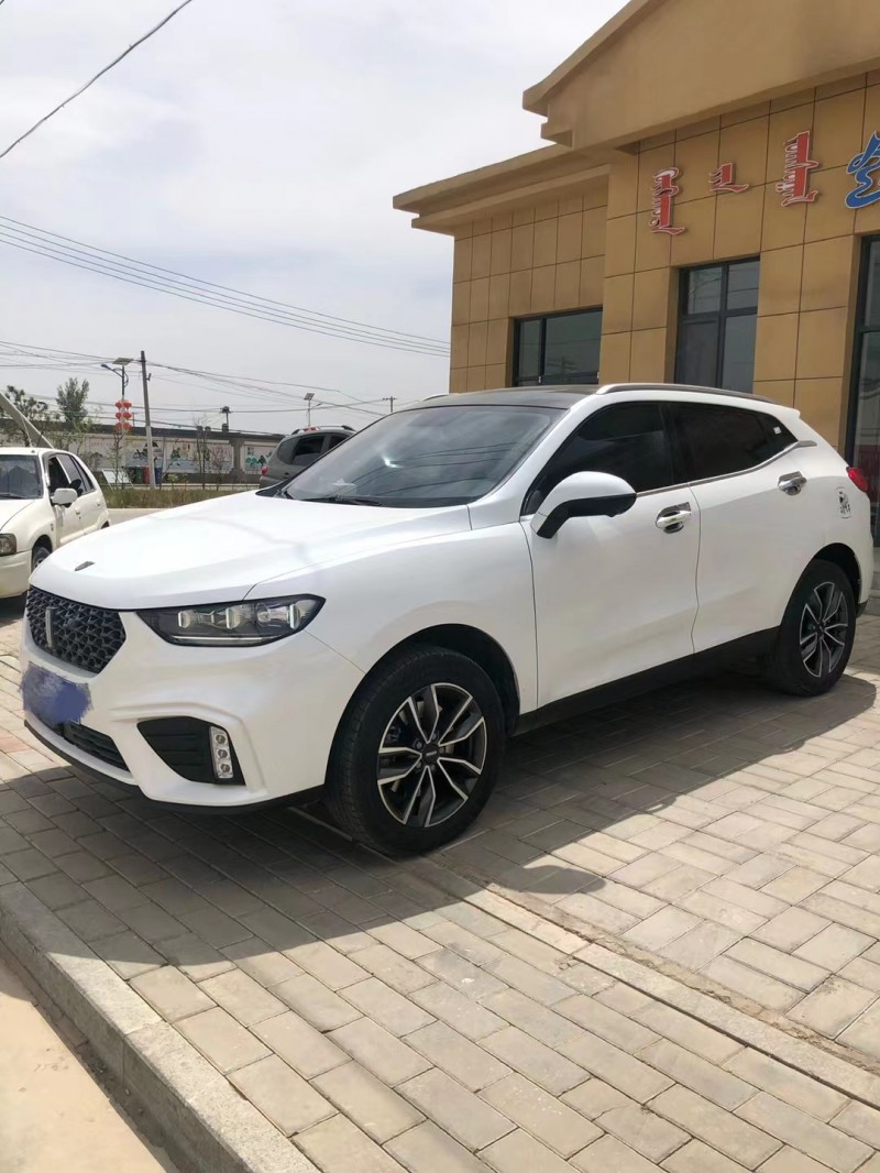 呼和浩特20年WEYVV52