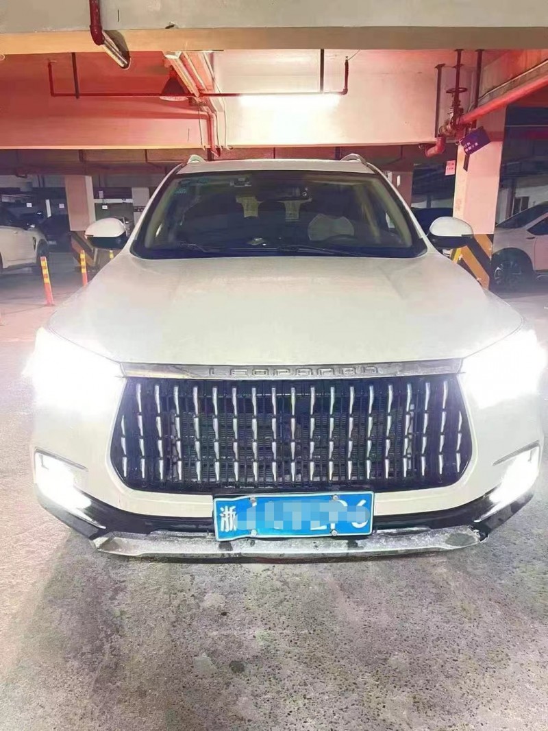 金華19年獵豹汽車邁途1