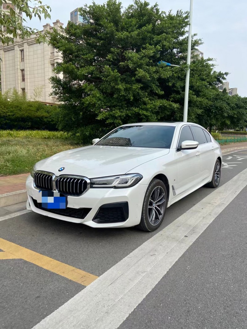 柳州20年寶馬5系2