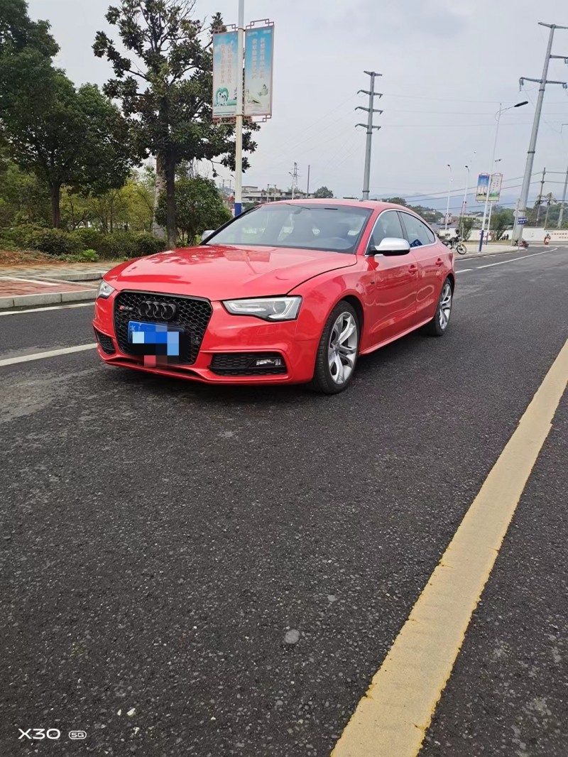 金華13年奧迪S51