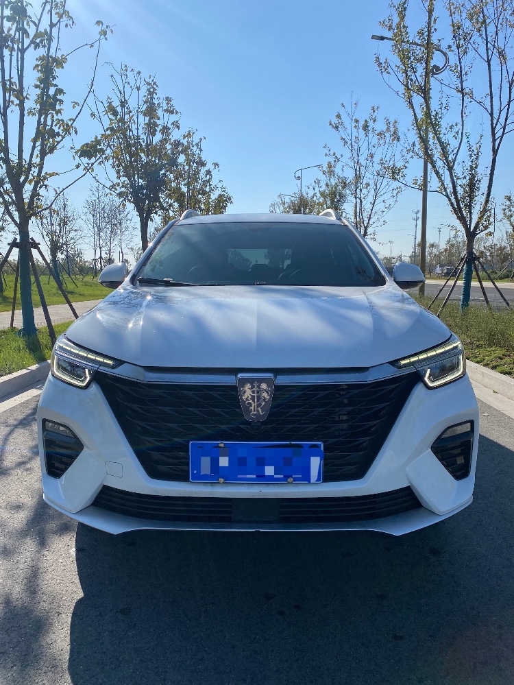 泰州21年榮威RX59