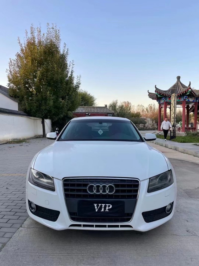 廊坊10年奧迪A51