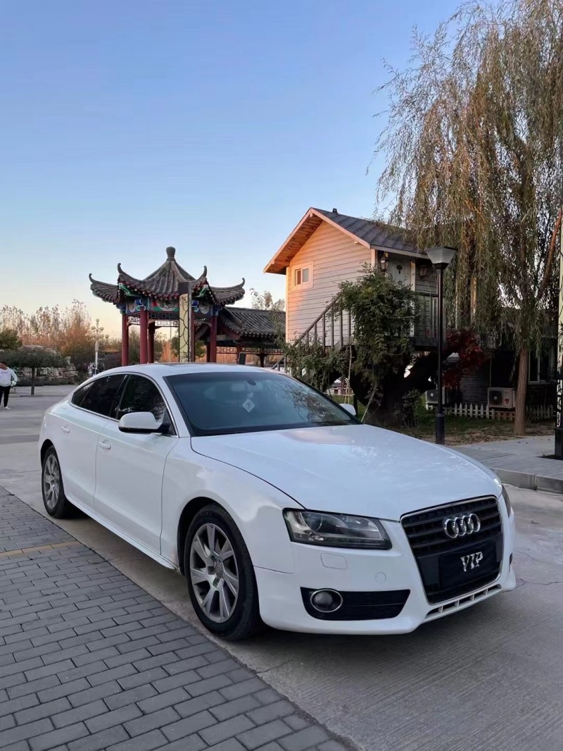 廊坊10年奧迪A53