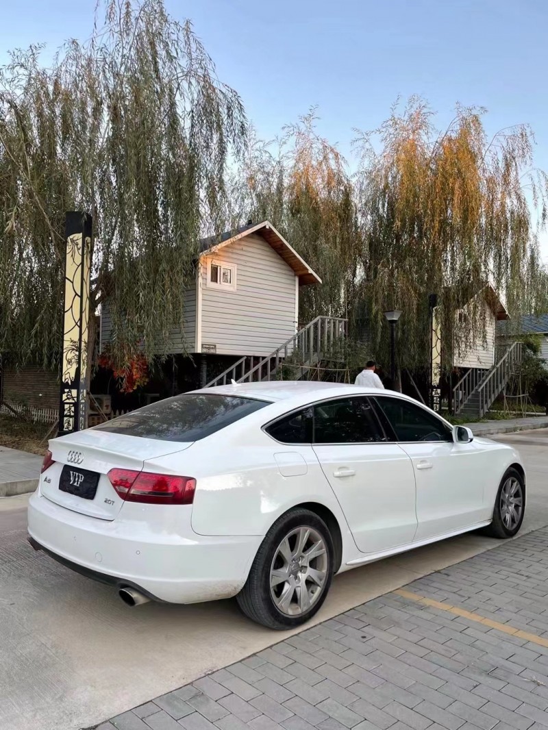 廊坊10年奧迪A55