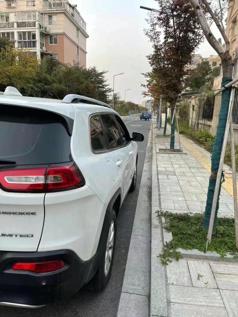 鎮江18年Jeep自由光7