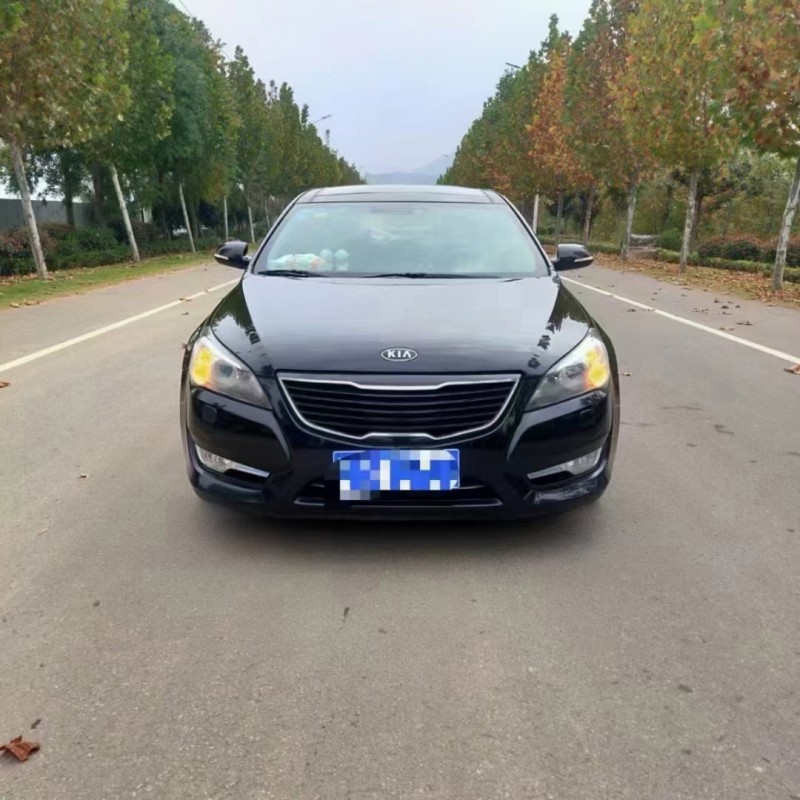 徐州10年起亞凱尊1