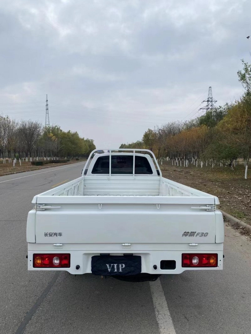 天津21年長安汽車神騏F305