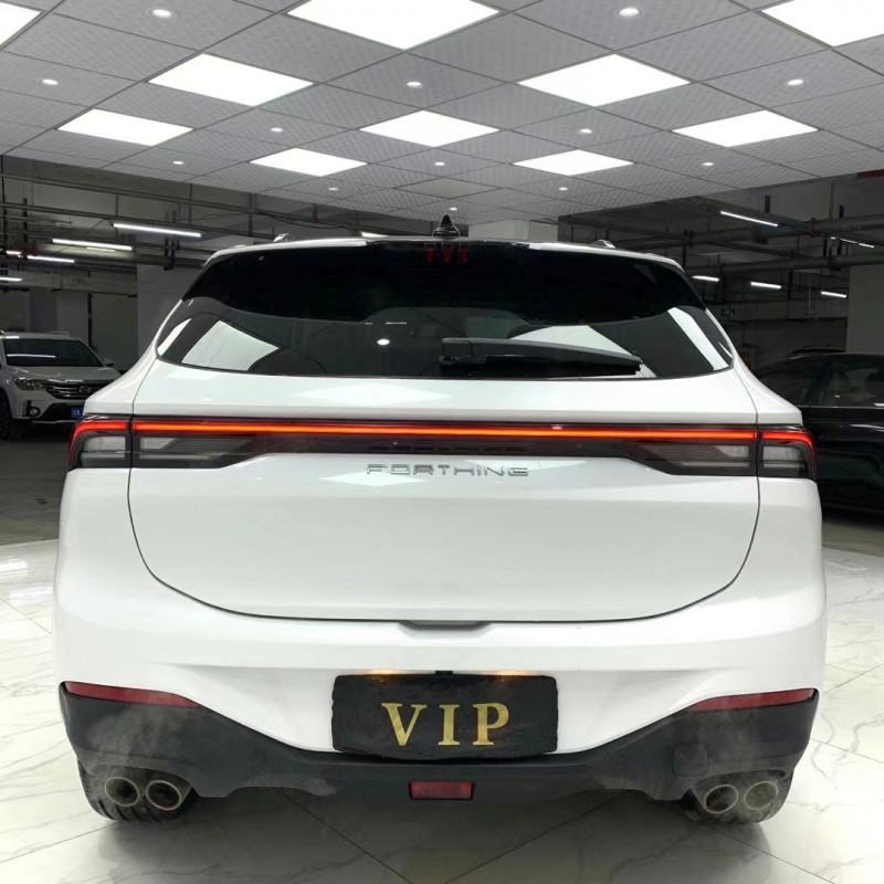 成都21年東風御風EV9