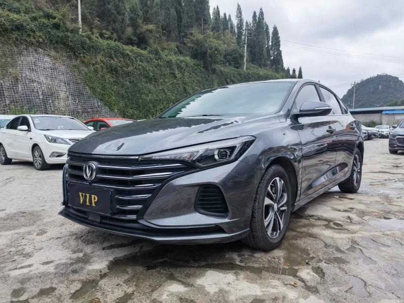 安順21年長安汽車逸動2
