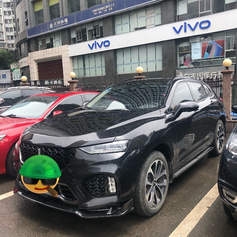婁底18年長城VV71