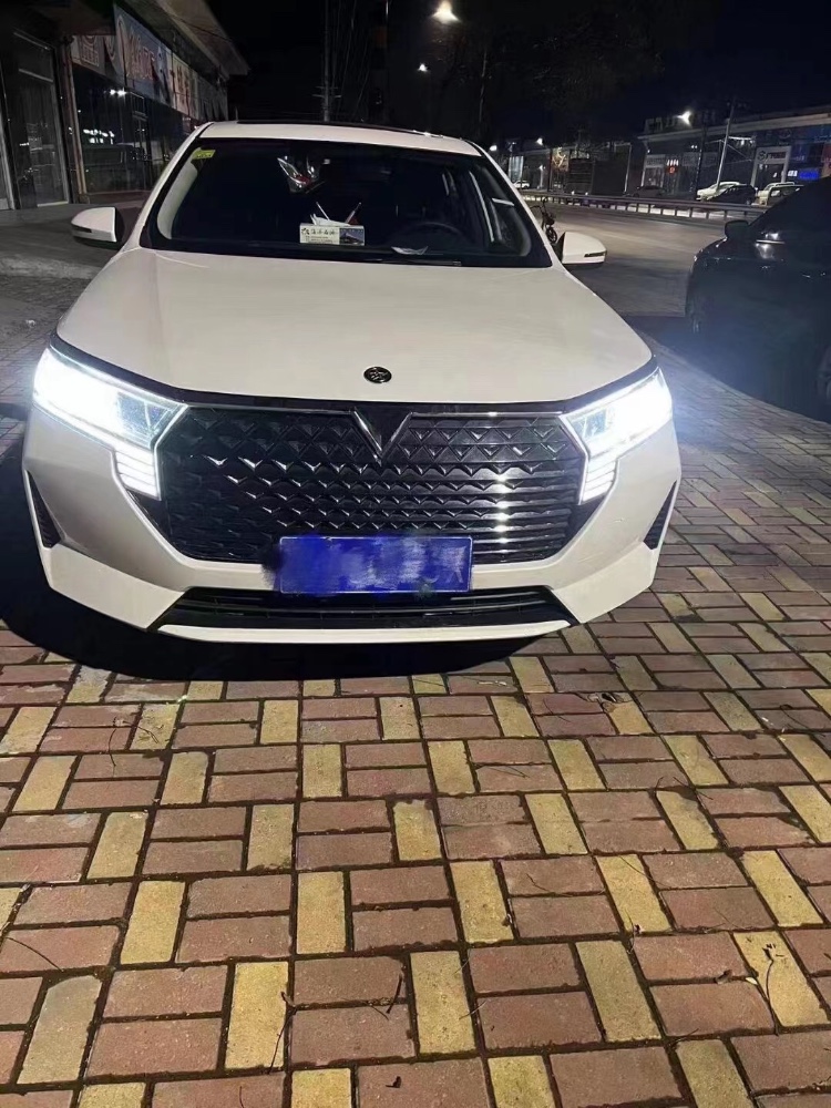 北京21年啟辰D601