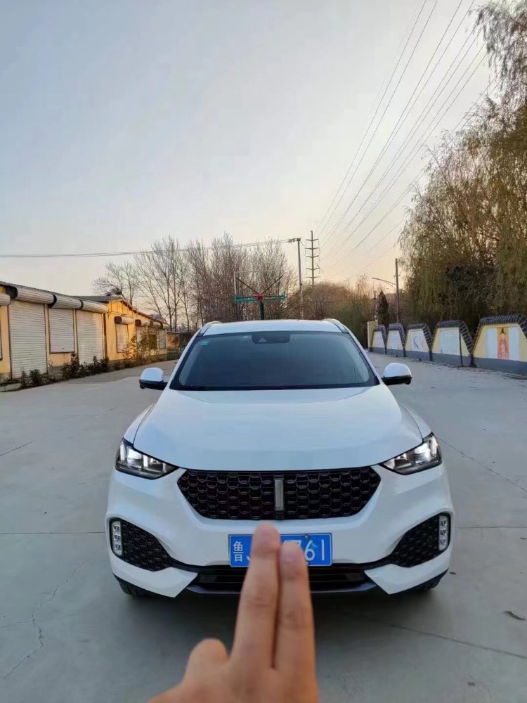 济宁19年长城VV61