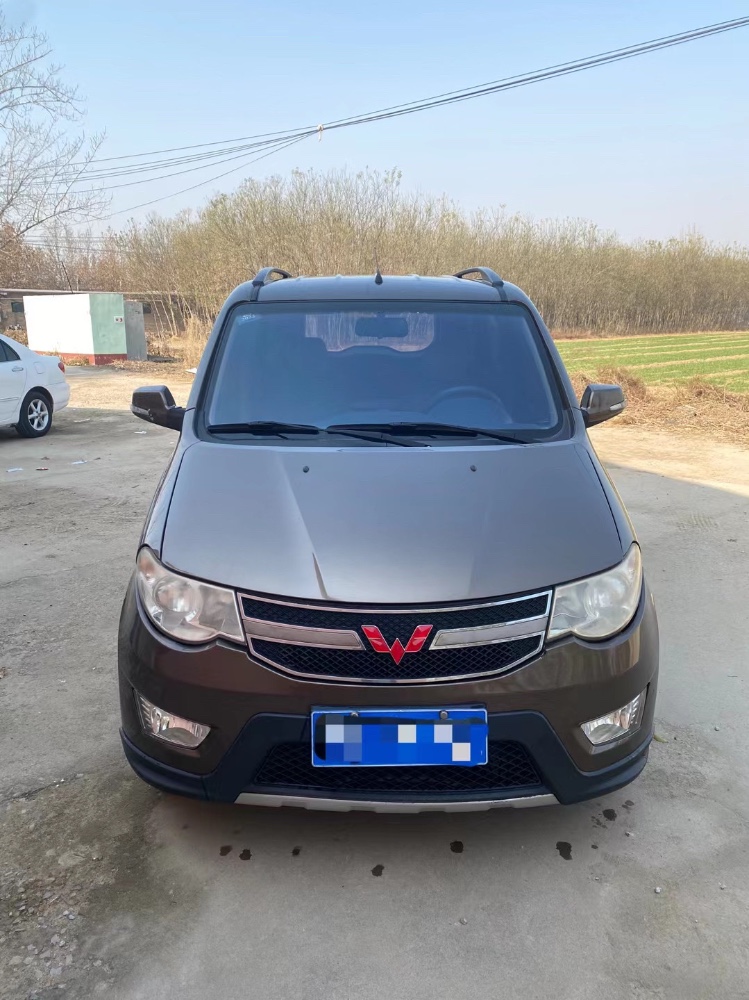 聊城14年五菱汽車宏光9