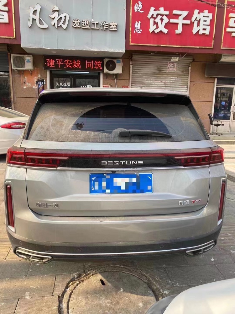 秦皇島20年奔騰T994