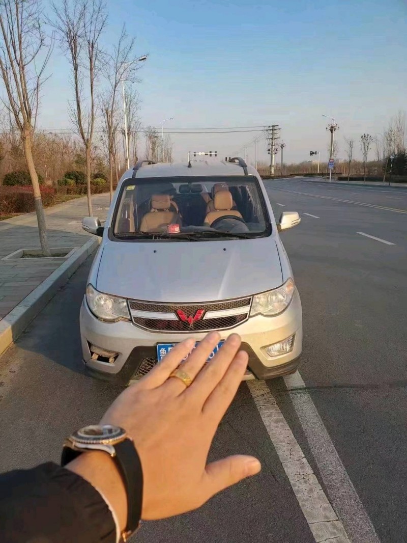 北京15年五菱汽車宏光1