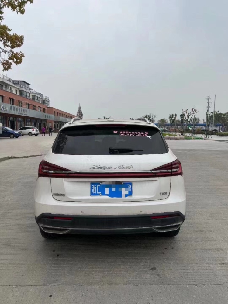 紹興19年眾泰T6007