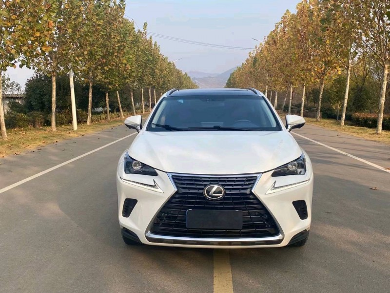 徐州18年雷克薩斯NX9