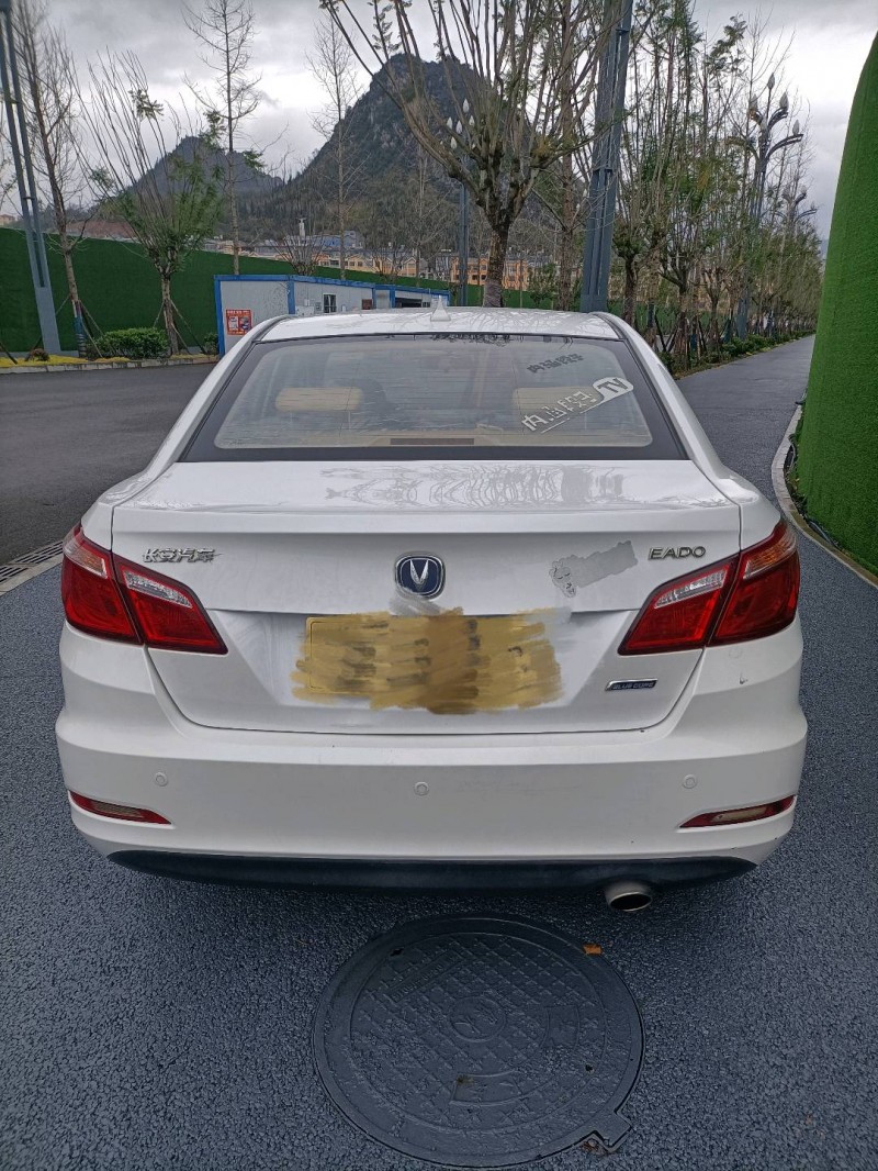 黔西南17年長安汽車逸動1