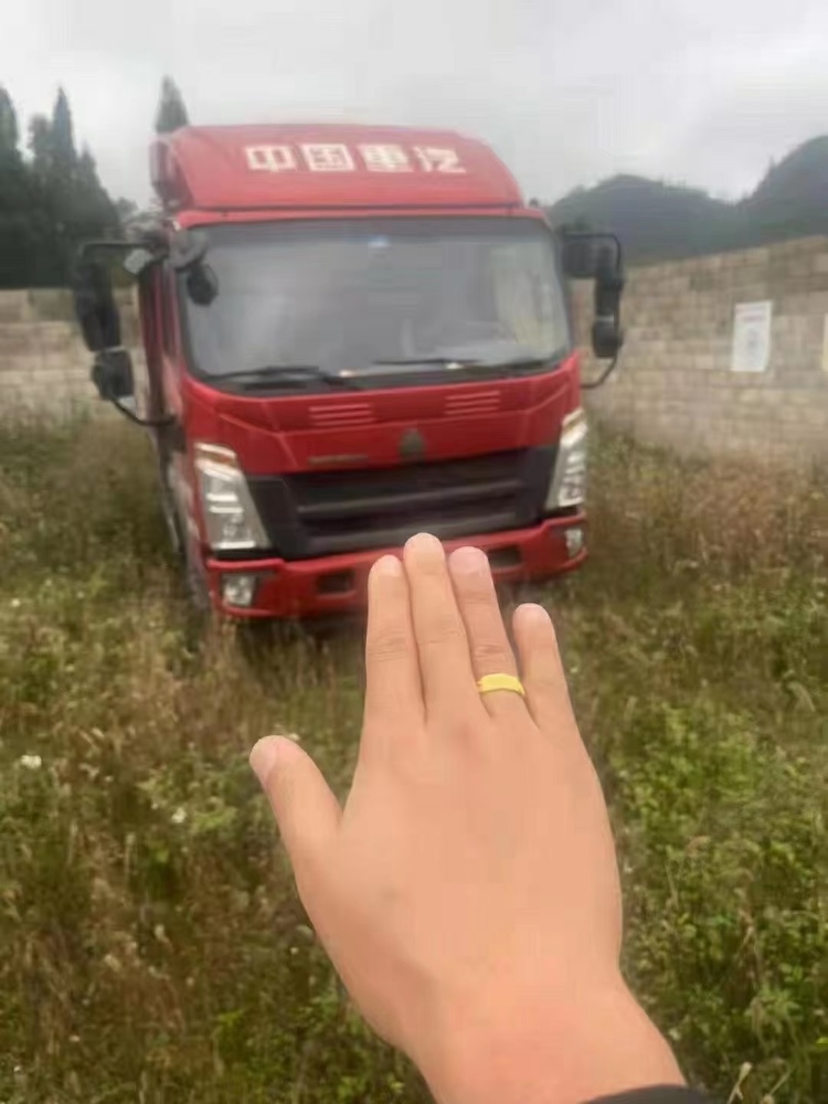 遵義19年斯太爾Haflinger5