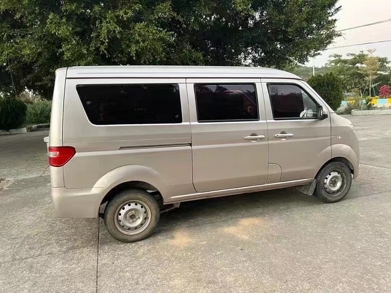 湛江17年金杯小海狮X306