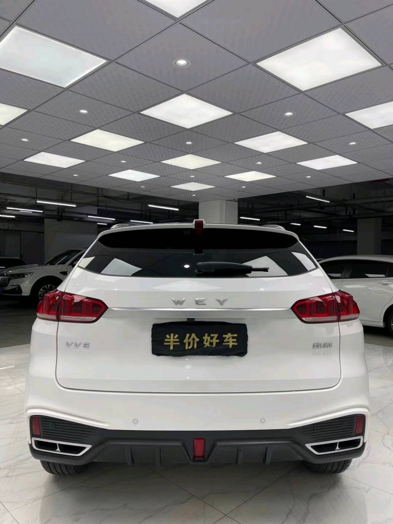 成都20年WEYVV55
