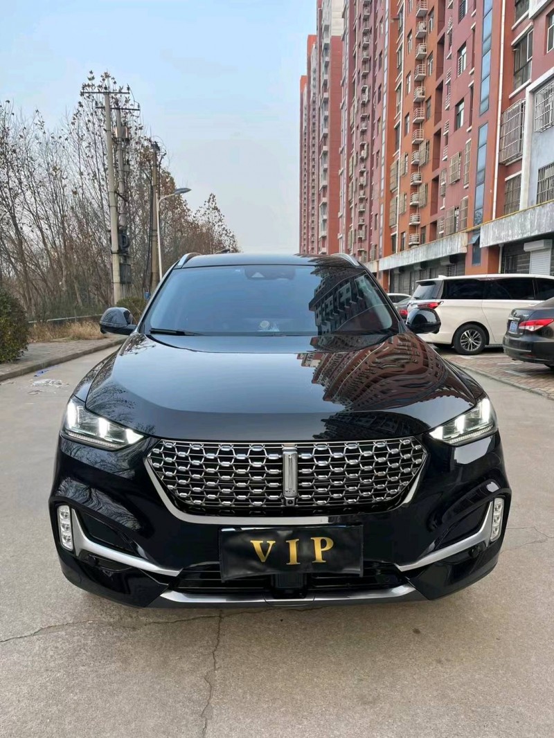 邢臺20年長城VV61
