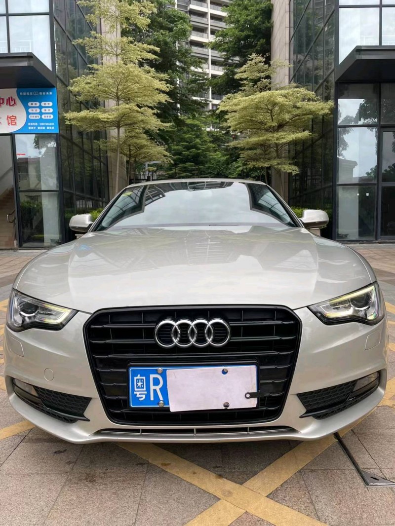 中山13年奧迪A51