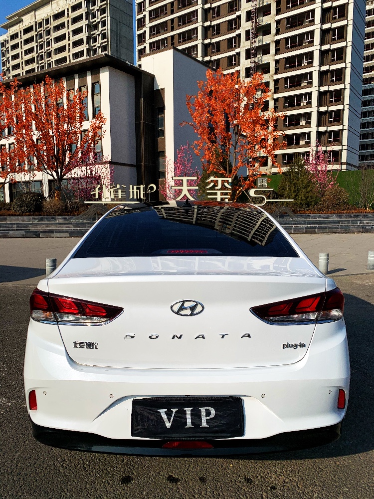 廊坊20年現代索納塔九5