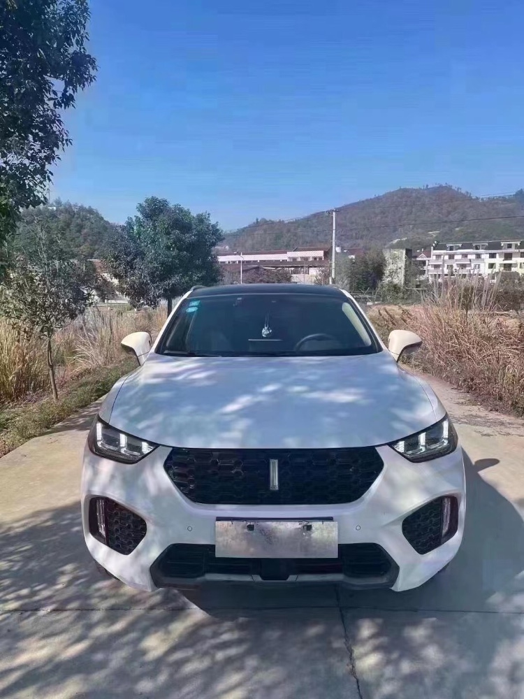 紹興19年長城VV51