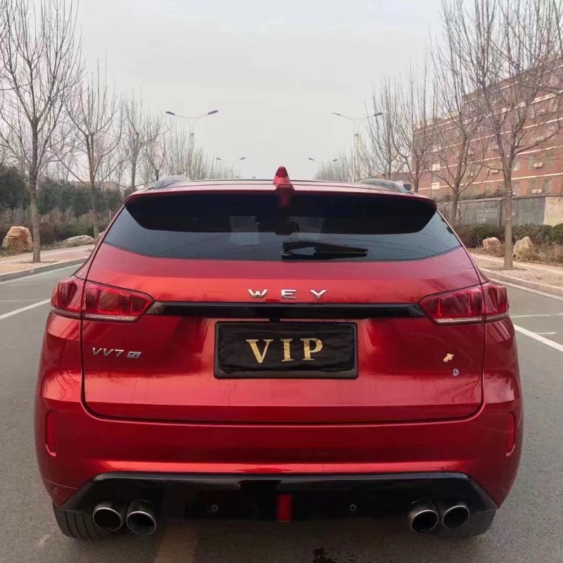 泰安17年長城VV79