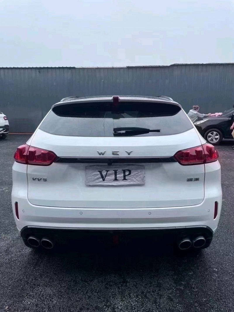 沈陽19年長城VV58