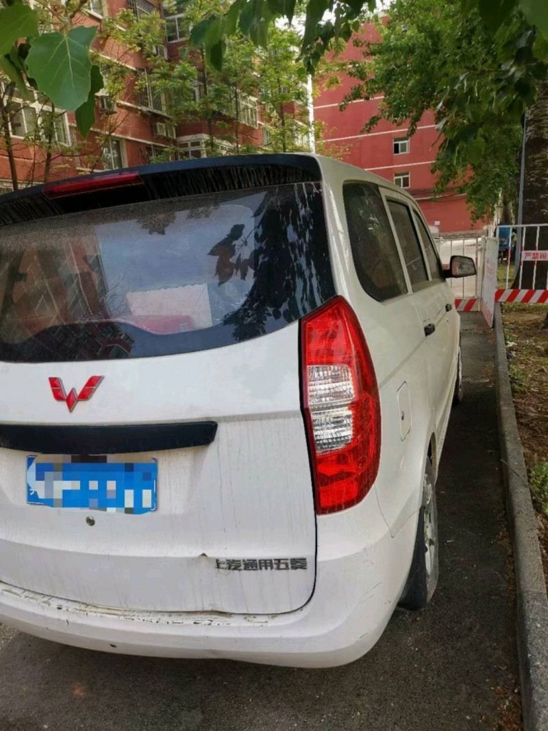 廊坊15年五菱汽車宏光1