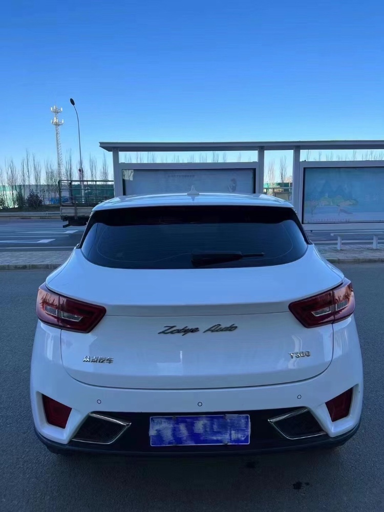 秦皇島18年眾泰T3008