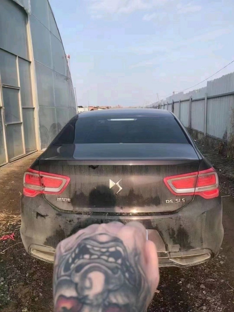 太原17年諦艾仕DS5LS4