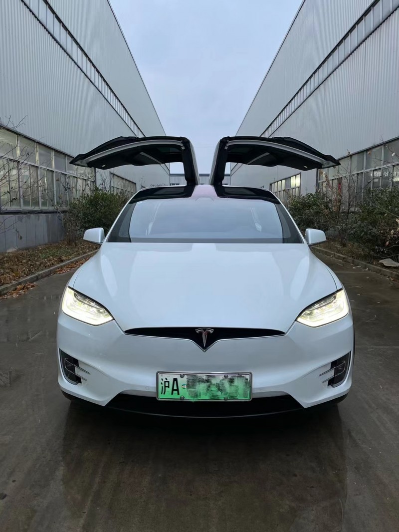 徐州20年特斯拉MODEL X8