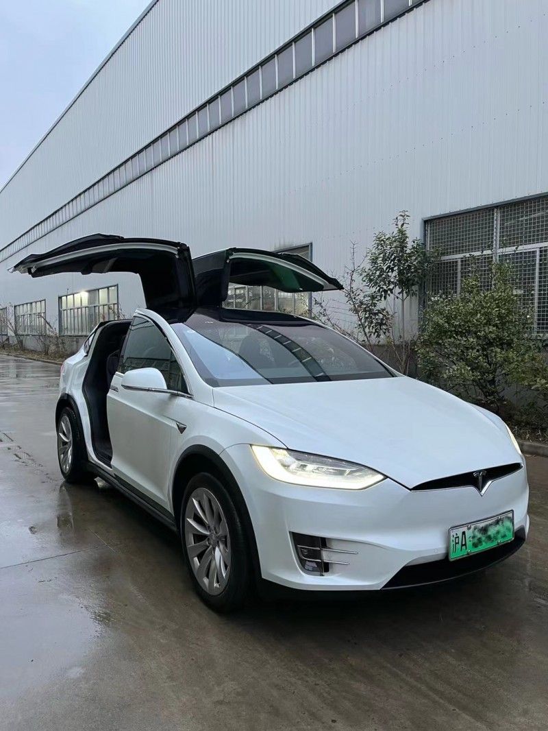 徐州20年特斯拉MODEL X7