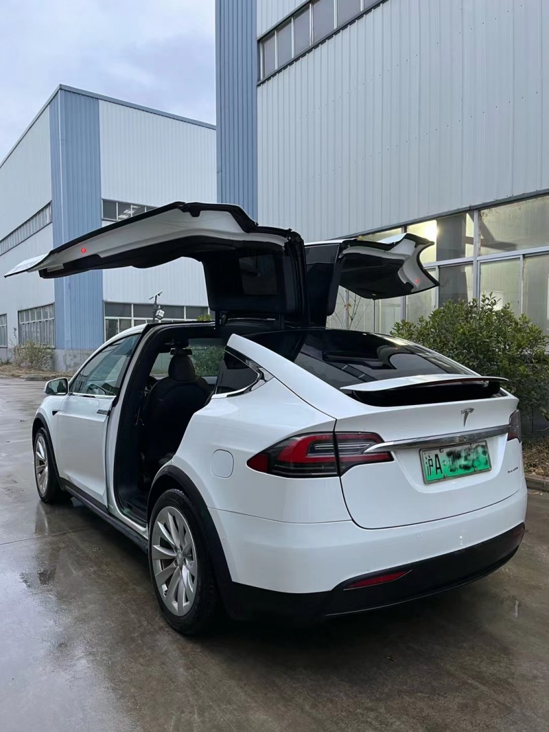 徐州20年特斯拉MODEL X5