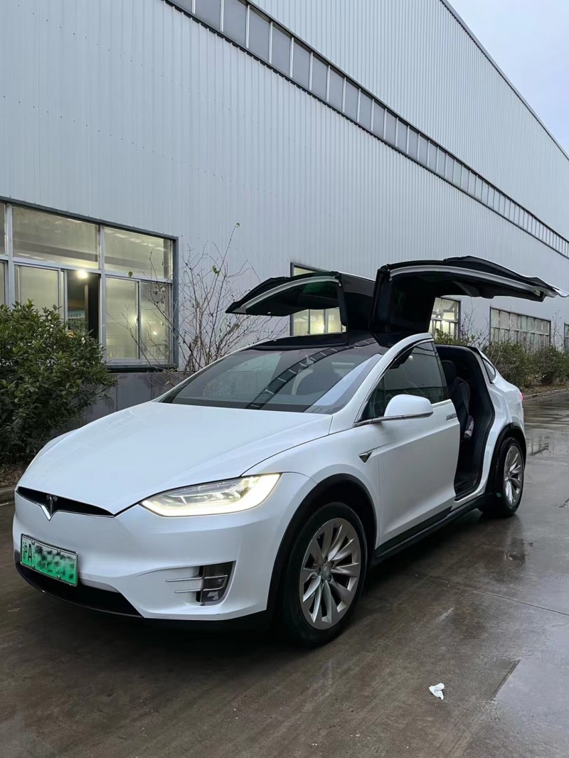 徐州20年特斯拉MODEL X6