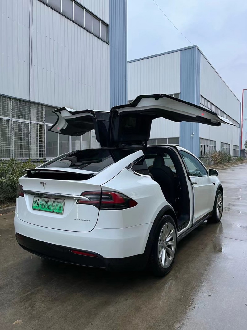 徐州20年特斯拉MODEL X1
