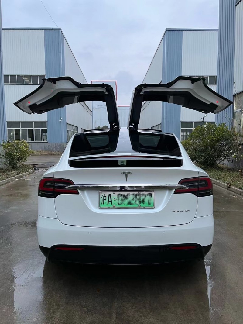 徐州20年特斯拉MODEL X9