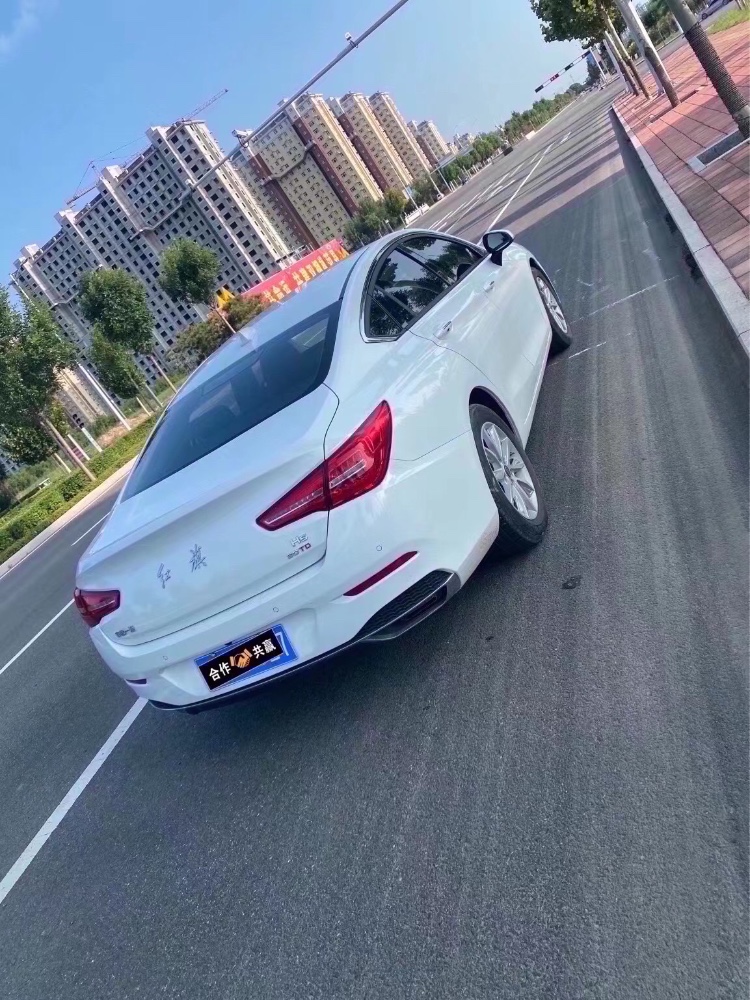 滄州19年紅旗H58