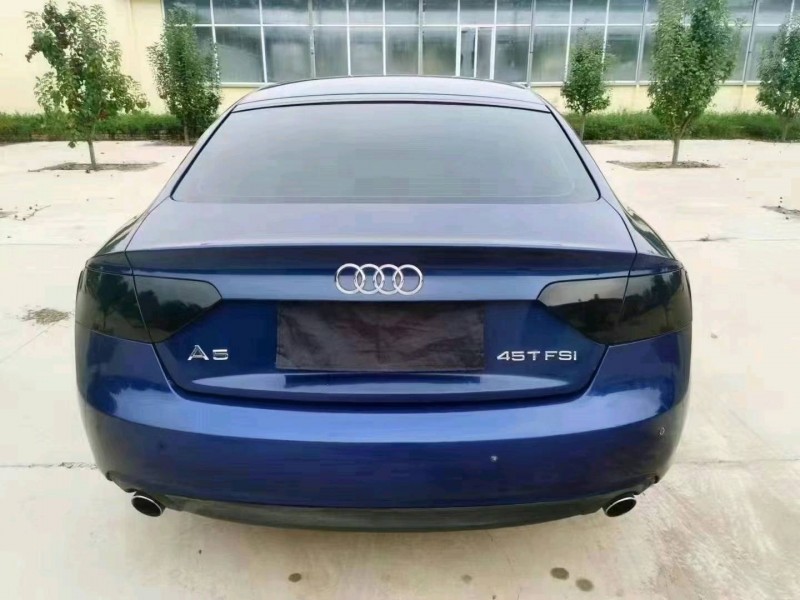 廊坊15年奧迪A55