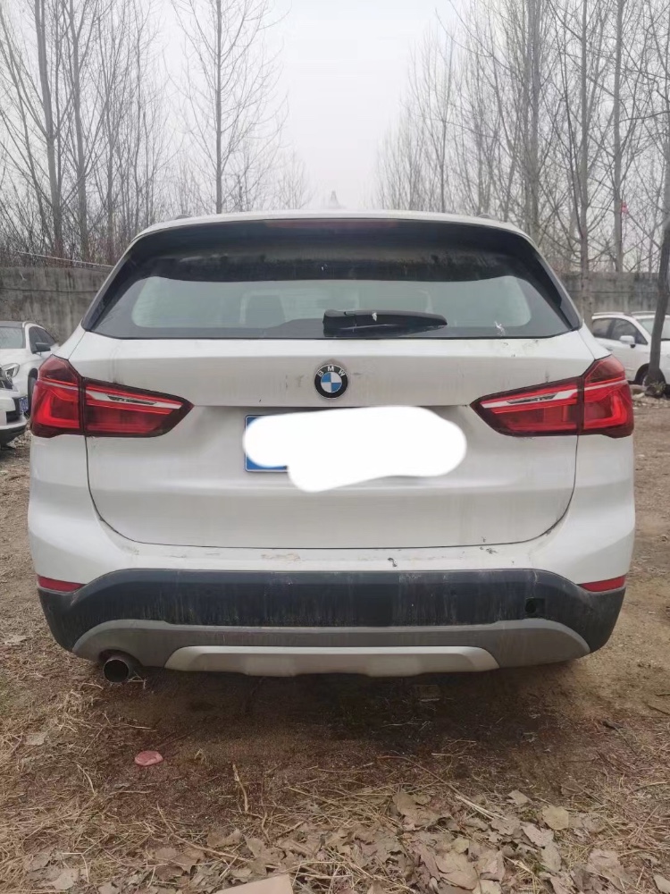 德州18年寶馬X16